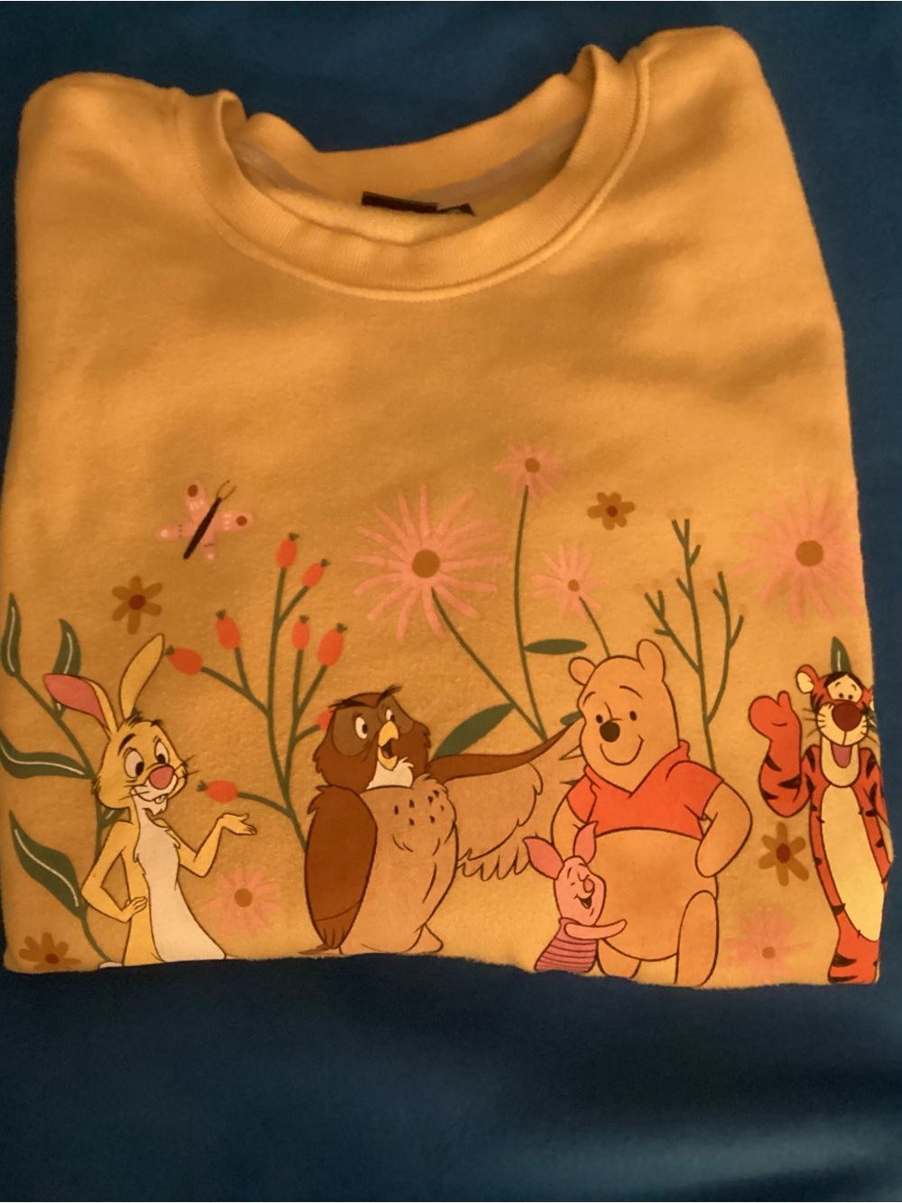 Yellow Winnie the Pooh Floral Graphic Sweatshirt - Women's Cozy Pullover